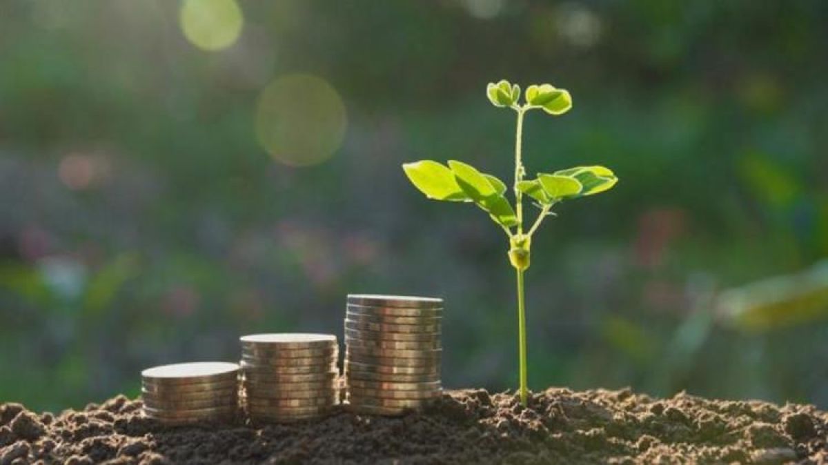 Με 62 εκ. ευρώ προκηρύσσονται οι δράσεις συνεργασίας του ΠΑΑ για την προώθηση της καινοτομίας στον πρωτογενή τομέα