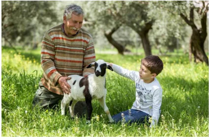 ΣΕΜΙΝΑΡΙΑ "REBUILDING A GREENER TOURISM"