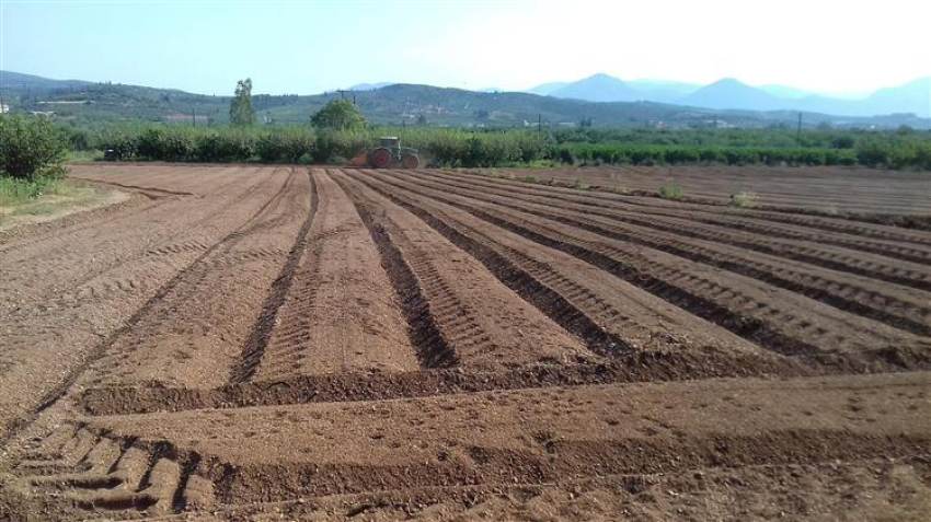 ΚΑΠ: Ο κομβικός ρόλος της ευρωπαϊκής αγροτικής πολιτικής για ένα βιώσιμο σύστημα τροφίμων