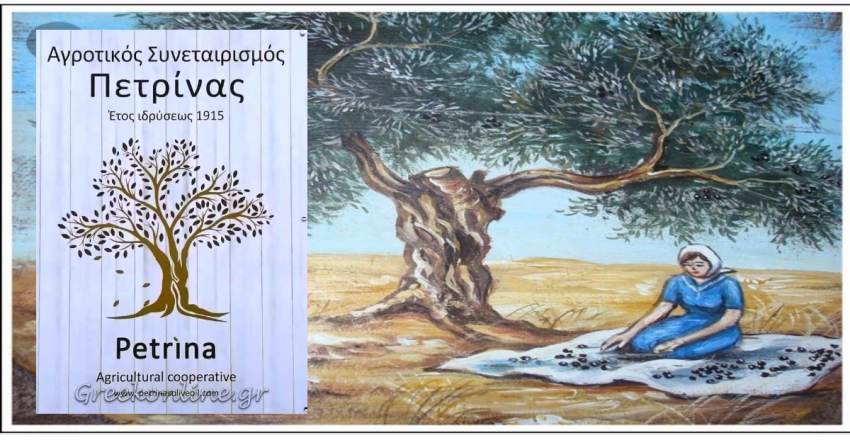 Άρθρο Ν. Κουφού - Ο ΑΓΡΟΤΙΚΟΣ ΣΥΝΕΤΑΙΡΙΣΜΟΣ ΠΕΤΡΙΝΑΣ
