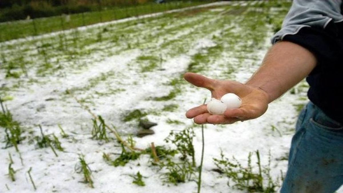 ΕΩΣ ΤΙΣ 18 ΦΕΒΡΟΥΑΡΙΟΥ ΟΙ ΑΙΤΗΣΕΙΣ ΓΙΑ ΖΗΜΙΕΣ  ΑΠΟ ΠΑΓΕΤΟ ΚΑΙ ΧΑΛΑΖΙ