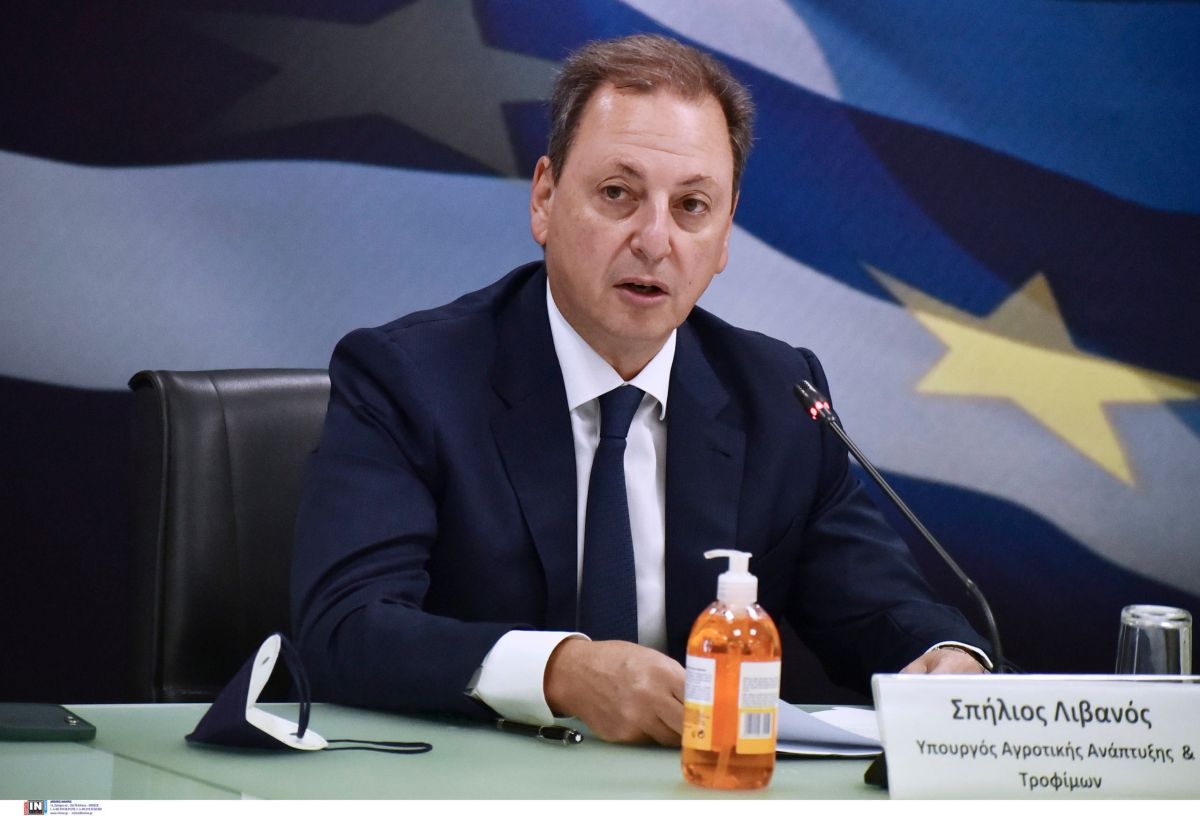 Σπήλιος Λιβανός: Το παρασκήνιο της αποπομπής του και τα μηνύματα Μητσοτάκη
