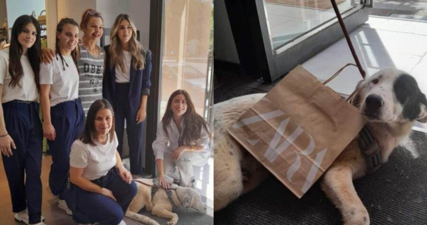 Σπουδαία πράξη: Το Zara Καλαμάτας υιοθέτησε ένα τρίποδο αδεσποτάκι, που είχε βρεθεί σε άσχημη κατάσταση