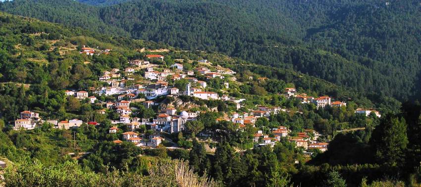 Vamvakou Revival: Ζητούνται εξωτερικοί συνεργάτες Γεωπόνος &amp; Ζωοτέχνης