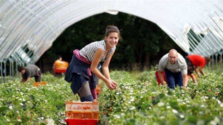 Οι εξελίξεις για τους εργάτες γης