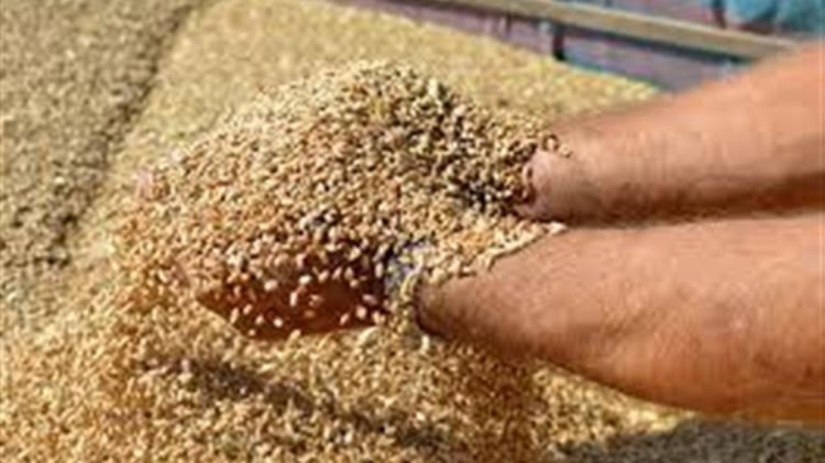 FAO: Σε υψηλό 10ετίας «εκτινάχθηκαν» οι διεθνείς τιμές των τροφίμων