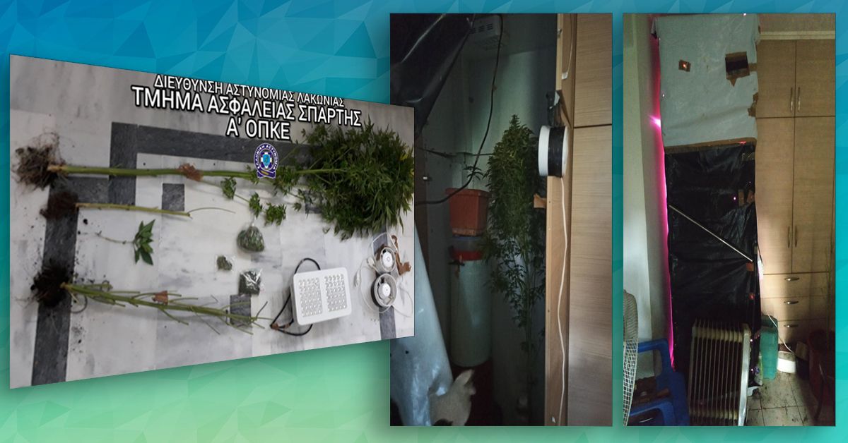 Συλλήψεις για Καλιέργεια κάναβης &amp; κλοπή 2 μοτοσικλέτων οι επιτυχίες της Ασφάλειας Σπάρτης &amp; της ΟΠΚΕ