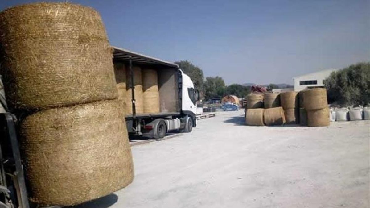 Γεωργαντάς: Σήμερα θα καταβληθούν 50.000.000 ευρώ ενισχύσεις για τις ζωοτροφές