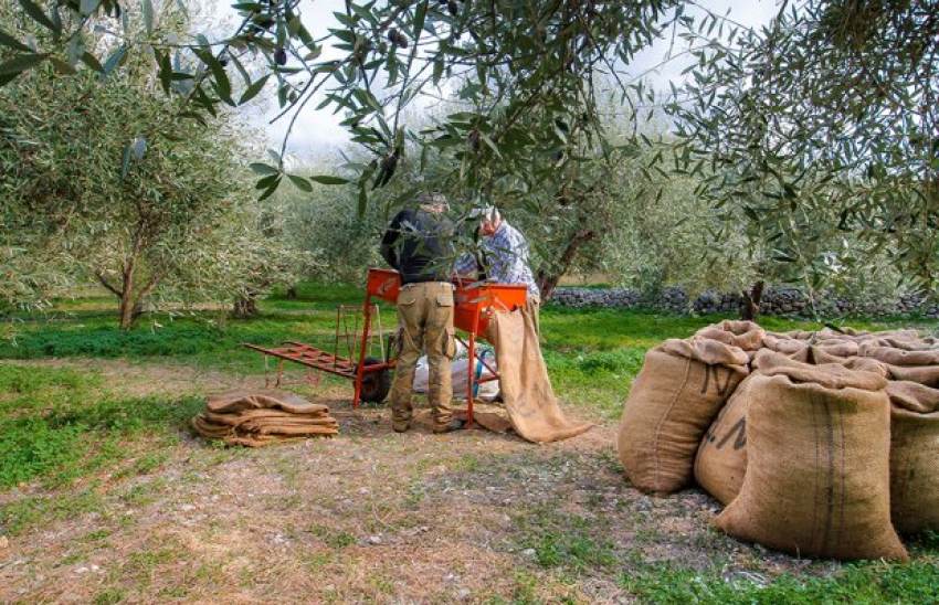 Υπέρ τροπολογίας για εργάτες γης η ΕΘΕΑΣ, καλεί να την ψηφίσουν όλα τα κόμματα