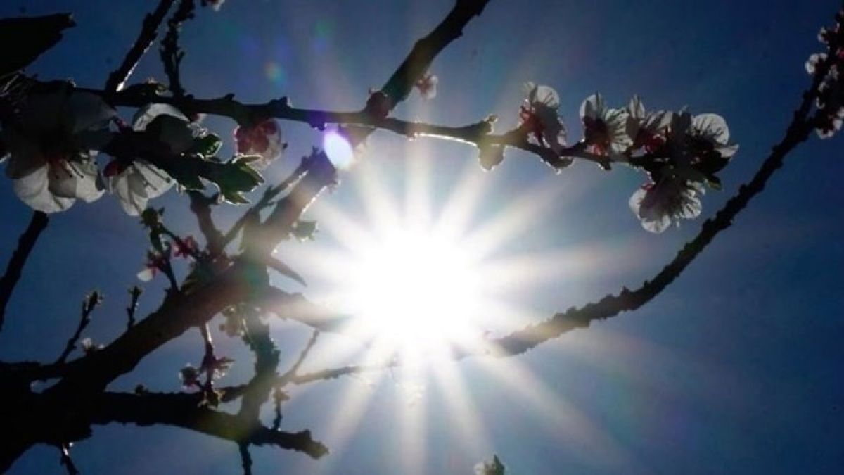 Καιρός: Αίθριος με ασθενείς βροχές - Η αναλυτική πρόγνωση