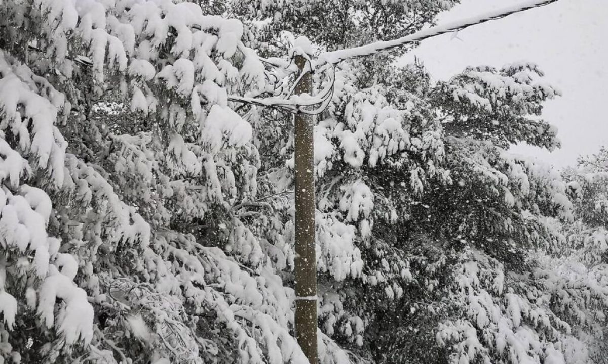 Σάκης Αρναούτογλου: Πυκνά χιόνια το Σάββατο