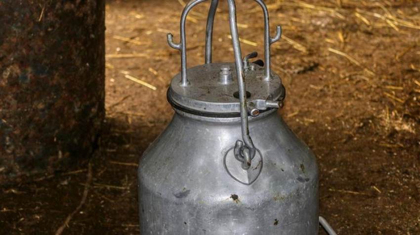 Πόσους τόνους γάλα έχει παραγωγή η Κρήτη