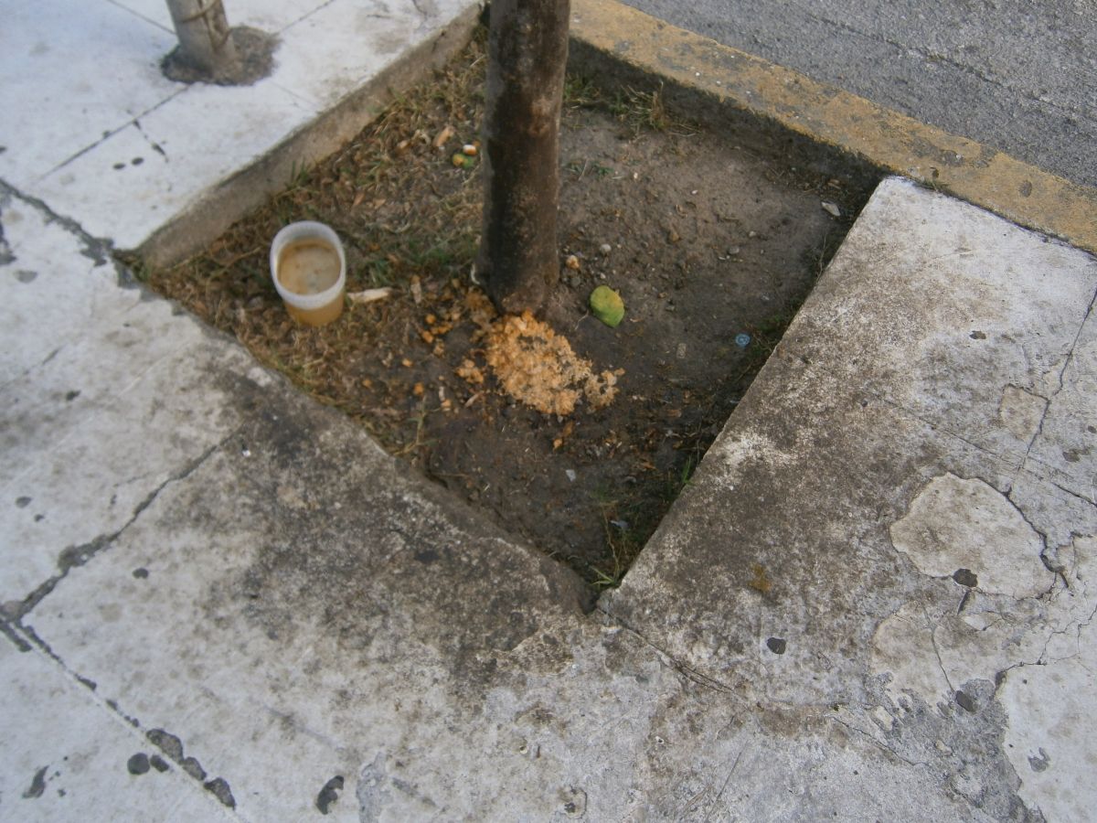 Φιλοζωϊσμός και  Φιλοανθρωπισμός
