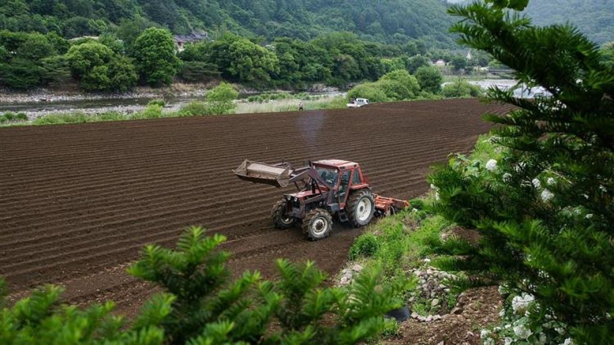5 υποέργα της Δράσης Οικονομικός Μετασχηματισμός Αγροτικού Τομέα του Ταμείου Ανάκαμψης και Ανθεκτικότητας