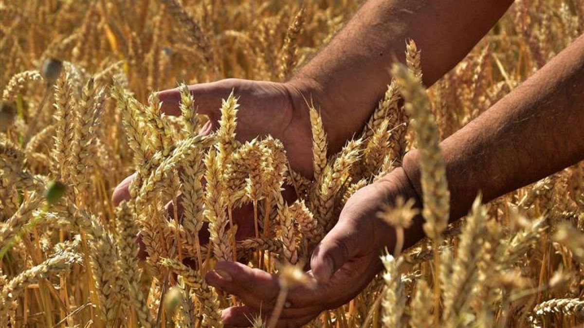 Νέα ΚΑΠ 19,3 δις ευρώ για την Ελλάδα