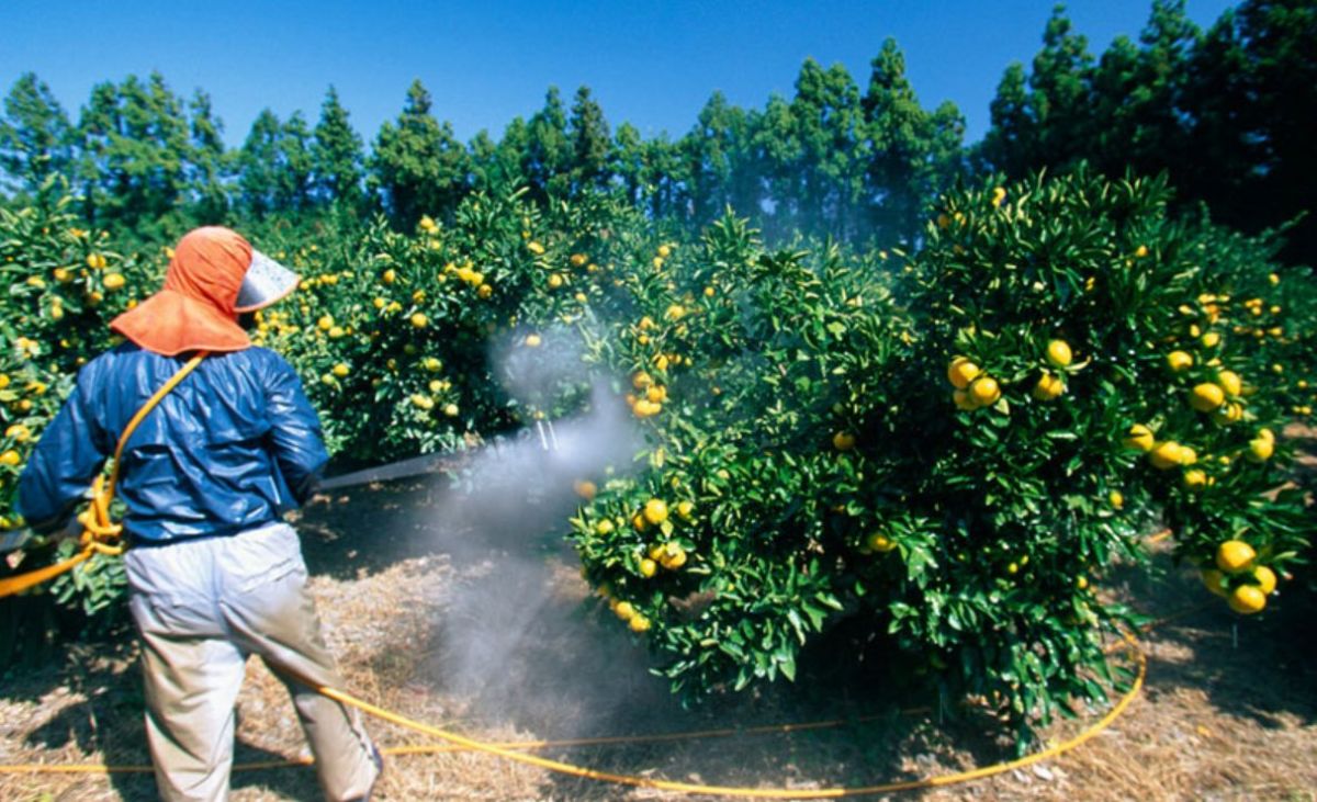 Φυτοφάρμακα: Πωλήθηκαν 346.000 τόνοι το 2020 – Τι δείχνουν τα στοιχεία