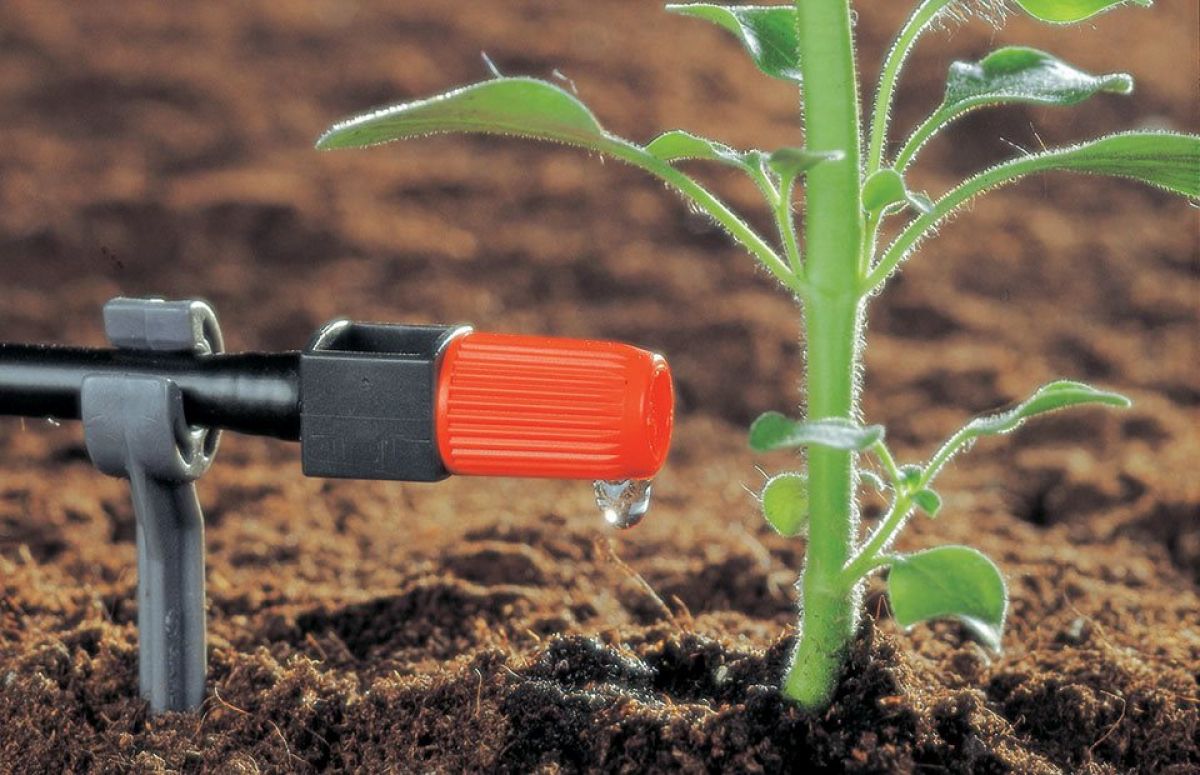 Παράταση στις αιτήσεις επιδότησης αρδευτικών συστημάτων και φωτοβολταϊκών