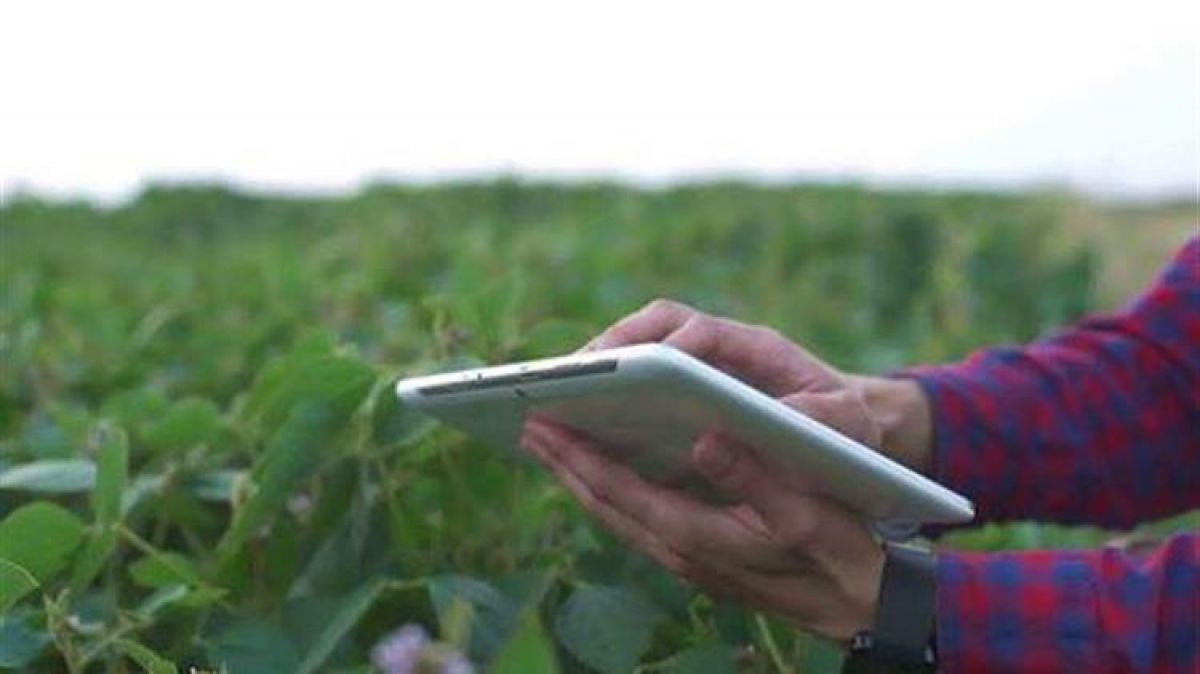 Oι αιτήσεις ενιαίας ενίσχυσης 2022 μέσω του gov.gr