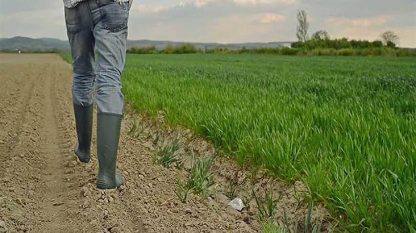 Απαλλαγή 50% στο φόρο εισοδήματος των κατά κύριο επάγγελμα αγροτών