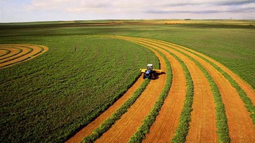 Αναπτυξιακός νόμος: Επενδυτικά σχέδια πρωτογενούς παραγωγής -Μεταποίηση γεωργικών προϊόντων