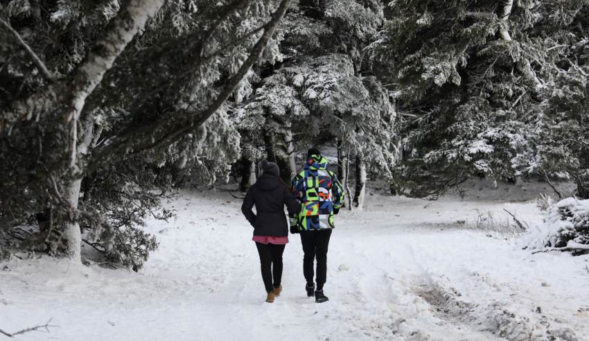 Κύμα ψύχους από σήμερα στη χώρα – Καταιγίδες, ισχυρά μποφόρ και χιόνια