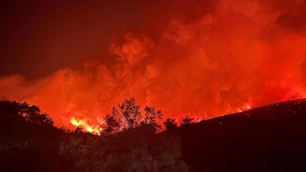 Φωτιά στα Βίλια: Μαίνεται για τέταρτη ημέρα - Μάχη με τις αναζωπυρώσεις