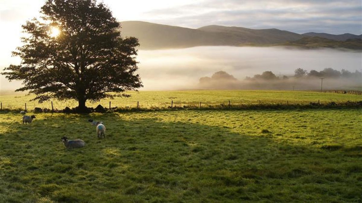 ΟΠΕΚΕΠΕ: Προσκόμιση δικαιολογητικών από αιγοπροβατοτρόφους