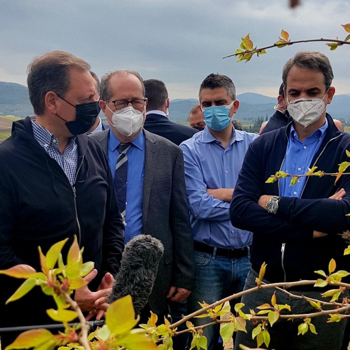 Σπ. Λιβανός για παγετό από Νεμέα: Οι παραγωγοί θα αποζημιωθούν με βάση τα δεδομένα της ειδικής καταστροφής, εκτός κανονισμών του ΕΛΓΑ