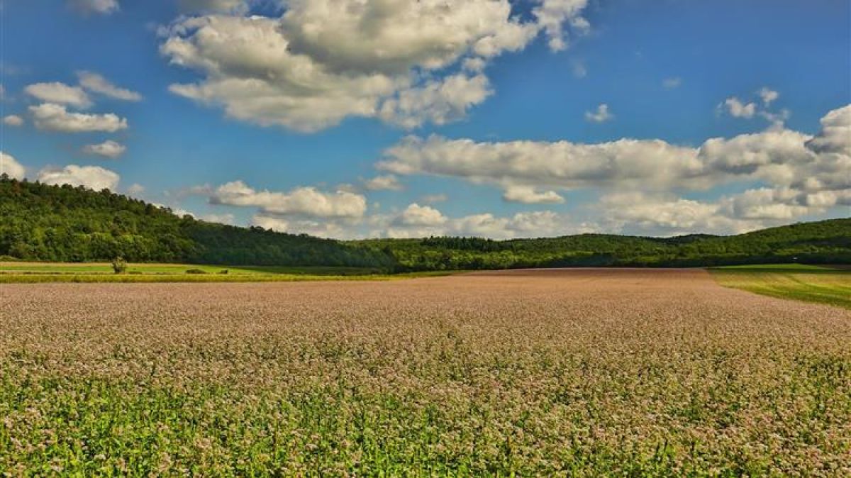 Σημαντικό μήνυμα στον κόσμο της βιολογικής γεωργίας από την Επιτροπή AGRI του Ευρωπαϊκού Κοινοβουλίου