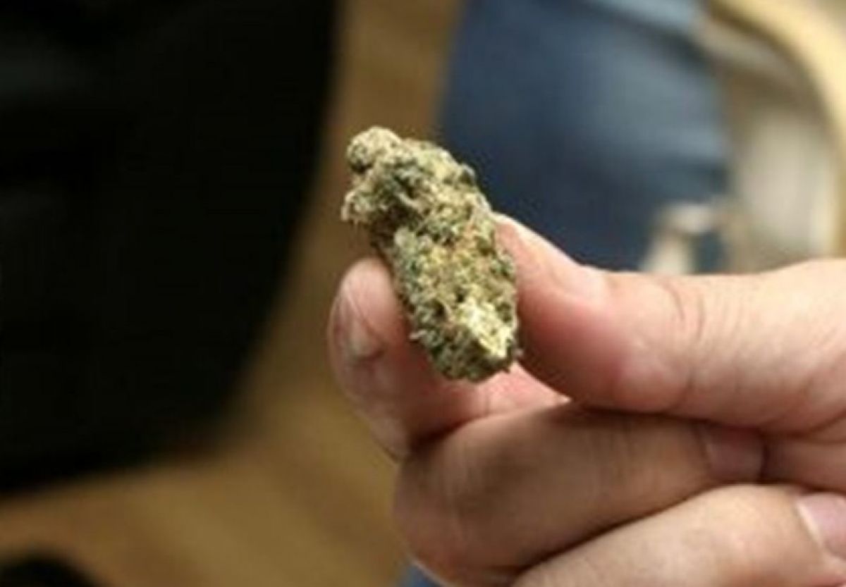 Συνέλαβαν 25χρονο ημεδαπό στο Δήμο Ευρώτα με κάνναβη