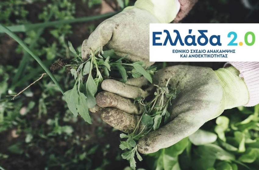 Ταμείο Ανάκαμψης: Από 20/10 οι αιτήσεις για Αναδιάρθρωση Καλλιεργειών