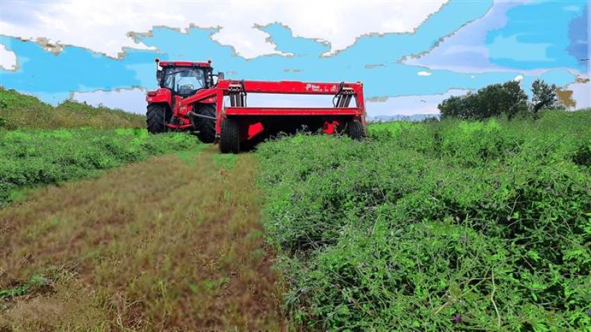 Σήμερα πληρώνονται 200 εκατ. ευρώ 630.000 δικαιούχοι αγρότες