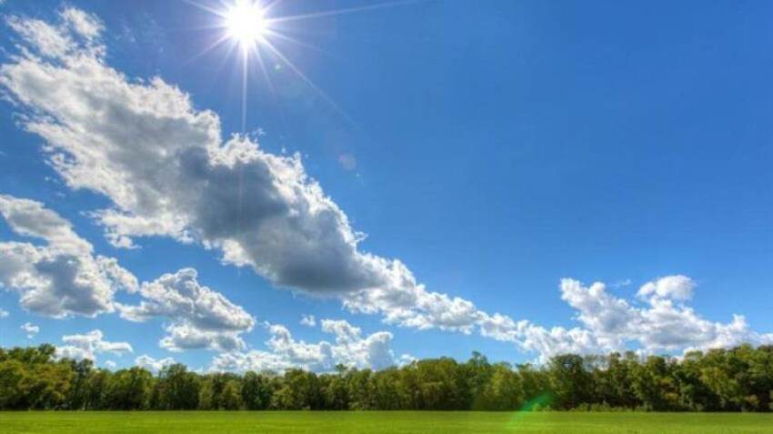 Αυξημένες κατά 50% οι εκτάσεις βιολογικής γεωργίας στην Ε.Ε. σε μια δεκαετία