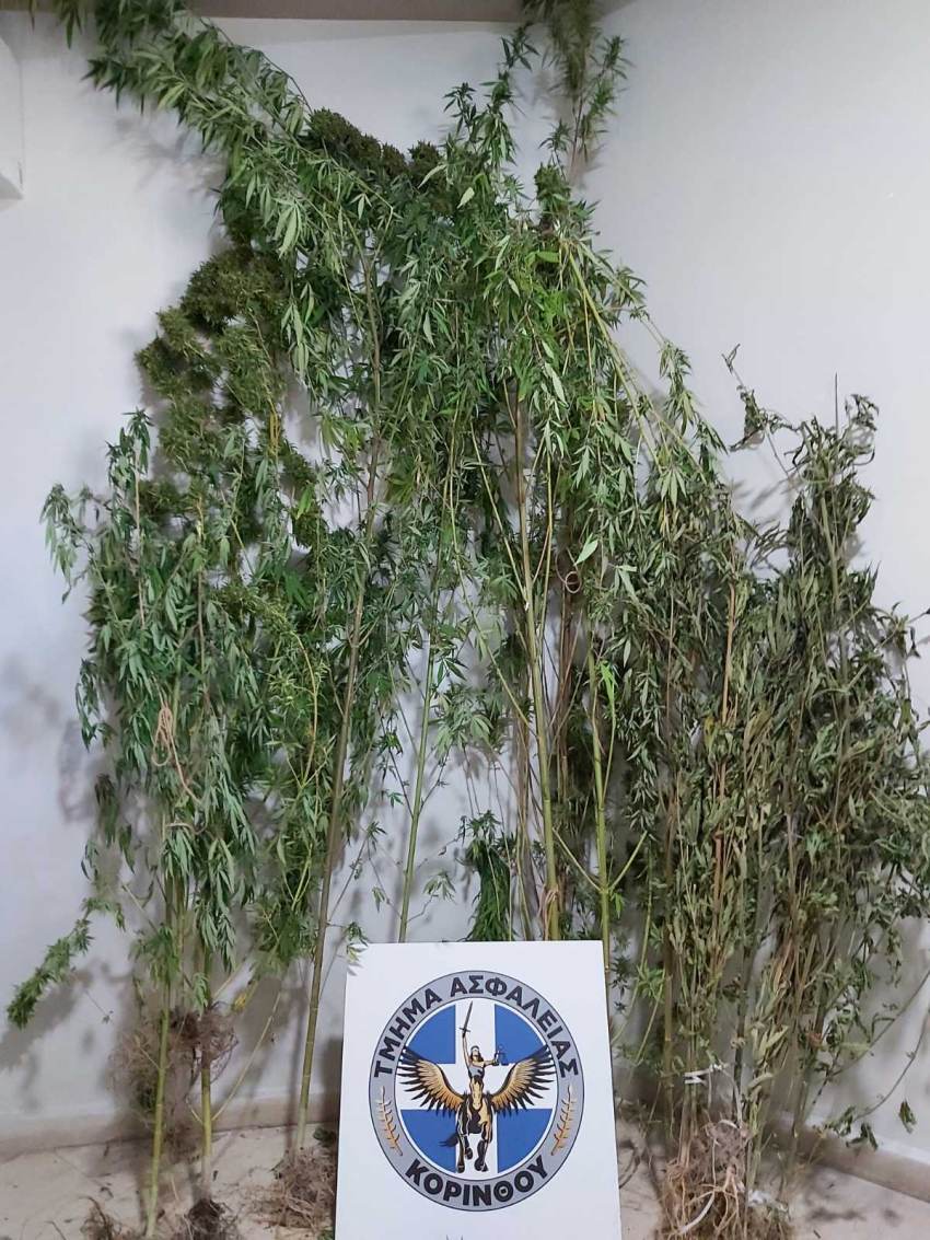 Ευρείες αστυνομικές επιχειρήσεις για την αντιμετώπιση της εγκληματικότητας στην Περιφέρεια Πελοποννήσου