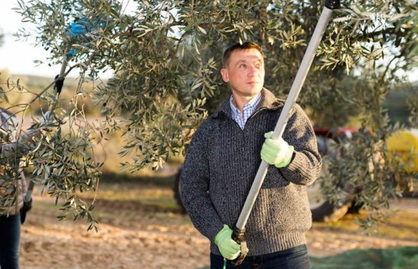 Άδεια διαμονής μόνο με προσφορά εργασίας, για να σταματήσει η έλλειψη σε εργάτες γης