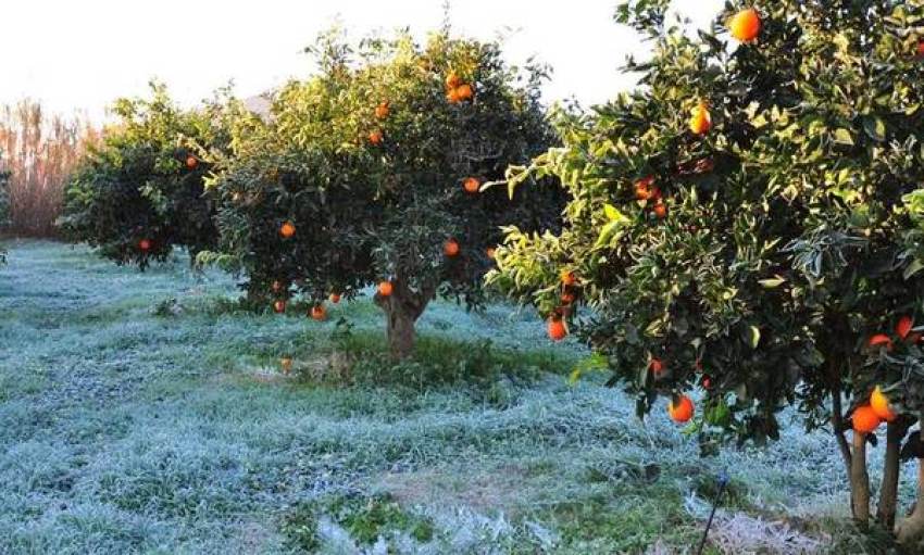 Ο ΕΛ.Γ.Α. συμψηφίζει τις προκαταβολές