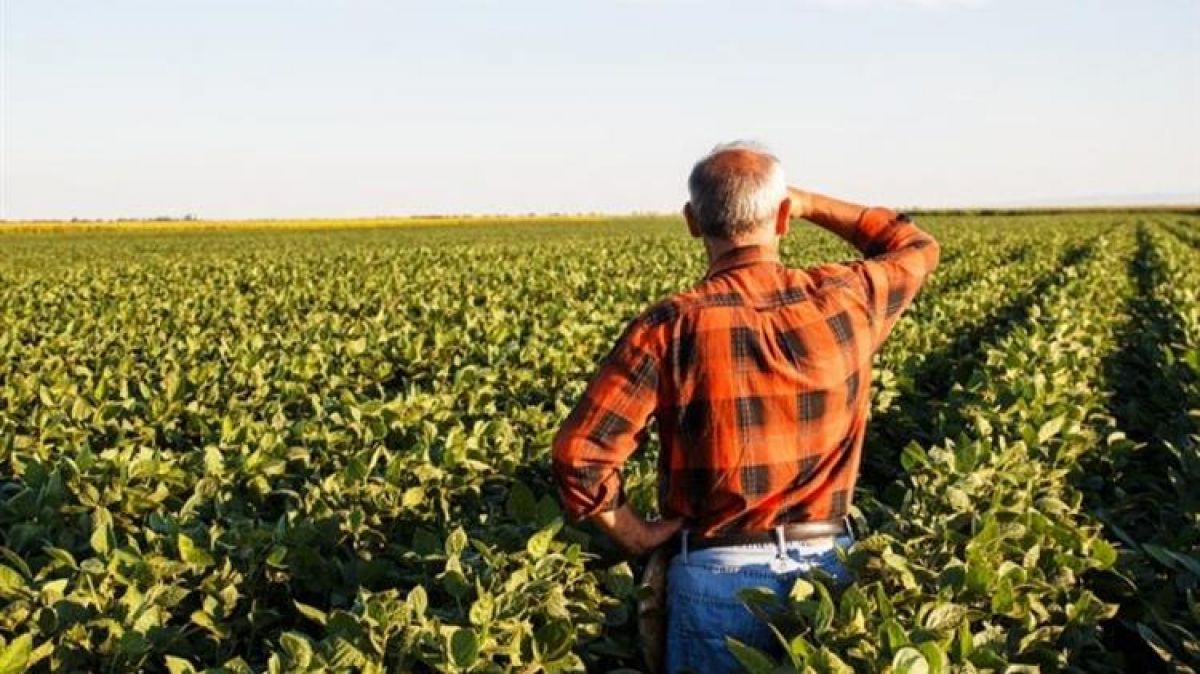 Στη δίνη πολέμου και πληθωρισμού καταναλωτές και λιανεμπόριο - Να στηριχθεί και να αυξηθεί η αγροτική παραγωγή