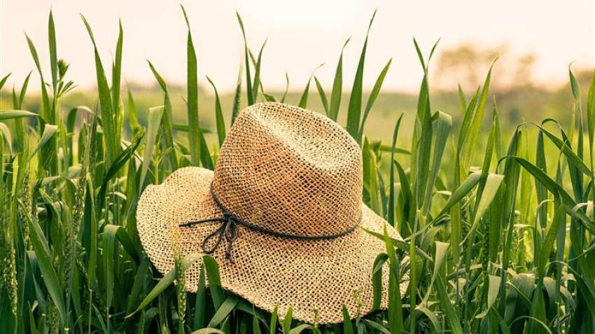 Μελέτη επιδοτήσεων της ΕΕ για τη γεωργία: Μικτός αντίκτυπος των πράσινων μέτρων στο σύστημα επιδοτήσεων της ΕΕ