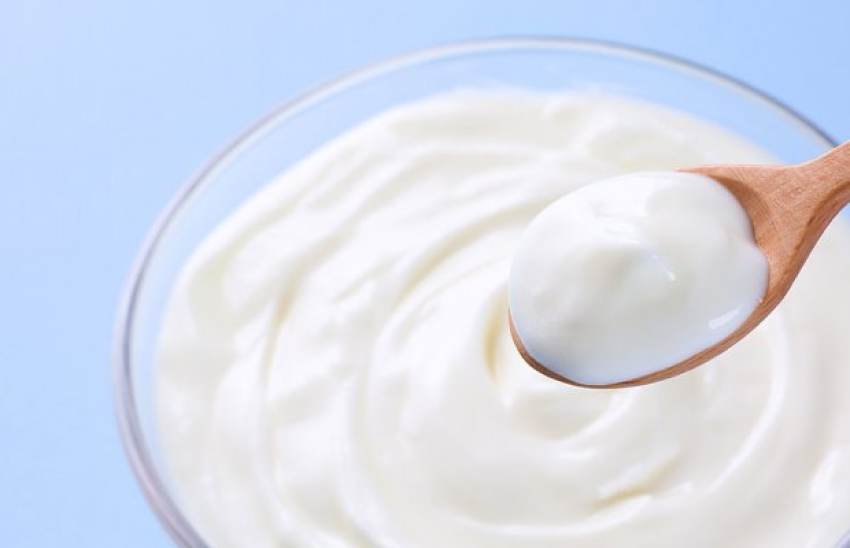 ΠΟΠ έκαναν οι Βούλγαροι το παραδοσιακό τους γιαούρτι, εμείς ακόμη κάνουμε συζητήσεις