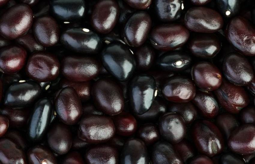 Πήραν φωτιά τα ελαιοτριβεία, οι παραγωγοί με Καλαμών ελαιοποιούν μαζικά τη σοδειά