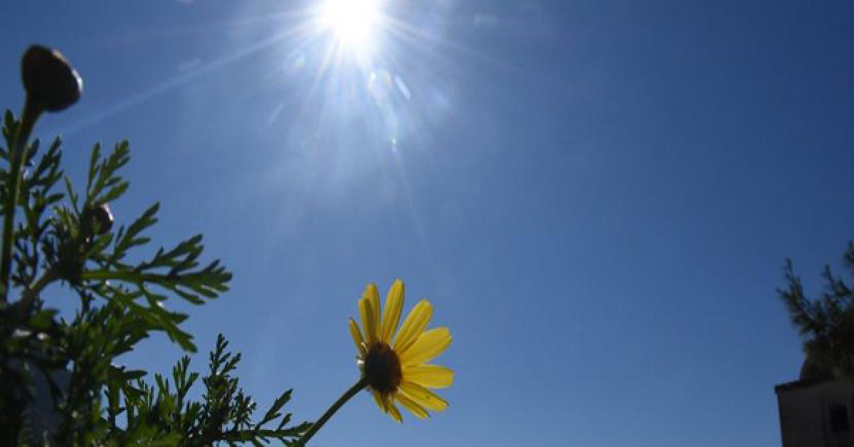 Καιρός: Ανοιξιάτικη λιακάδα και άνοδος της θερμοκρασίας (Χάρτες)