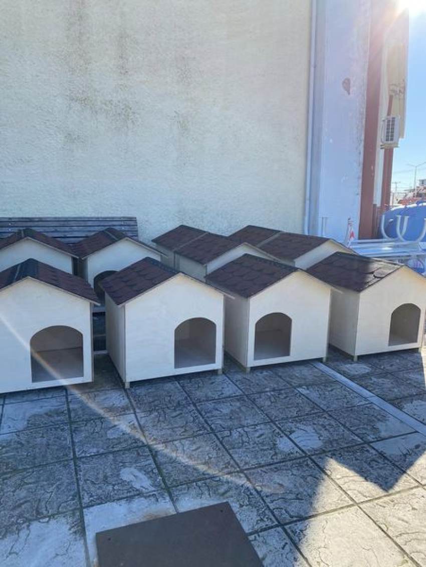 Δήμος Ευρώτα - Υπηρεσία φροντίδας αδέσποτων ζώων