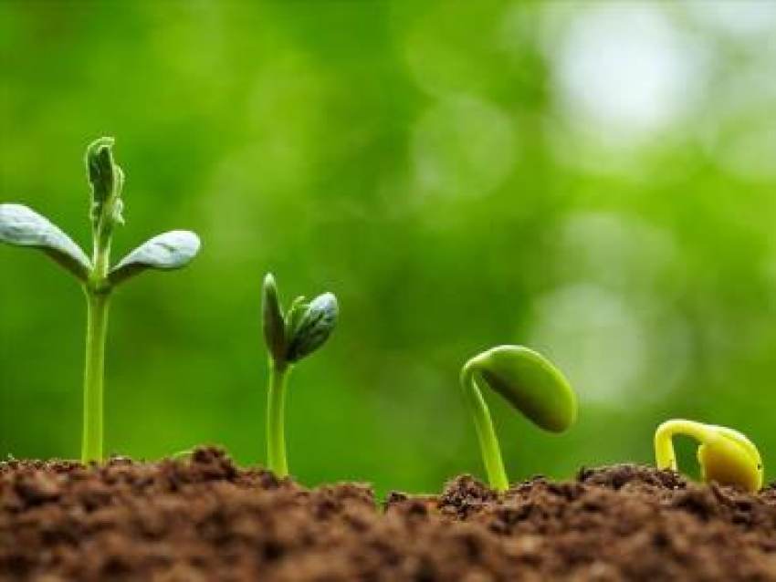 ΚΑΠ: Πώς θα επιτευχθεί η ορθολογική χρήση των θρεπτικών συστατικών στη γεωργία