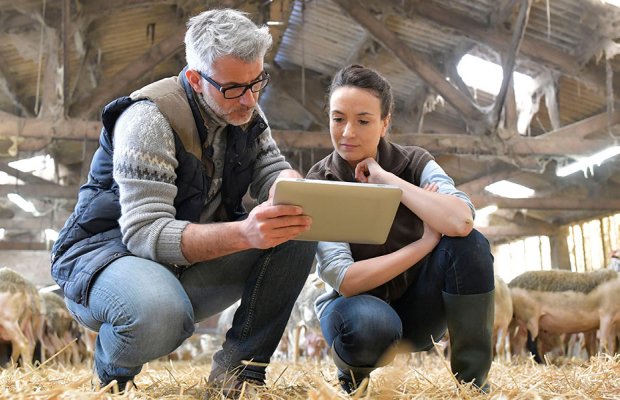 Εκτός υπηρεσίας κτηνίατροι λόγω ψευδών βεβαιώσεων, χωρίς προσωπικό τα κτηνιατρεία