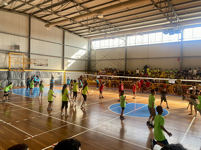 minivolley1.jpg