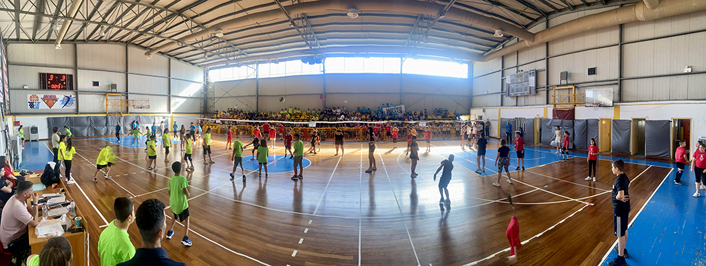 minivolley3.jpg