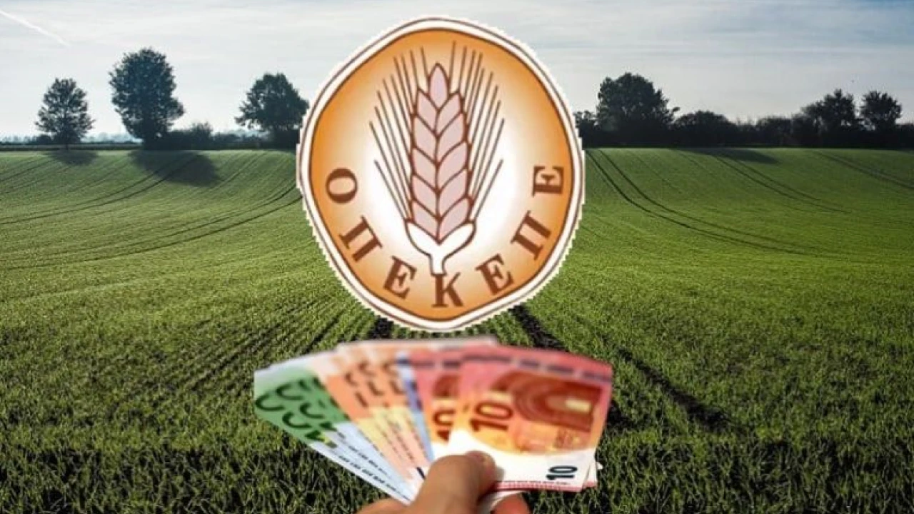 ΟΠΕΚΕΠΕ: Ενεργές οι εφαρμογές καταχώρησης για τις συνδεδεμένες – Στόχος η πληρωμή τους πριν από το Πάσχα