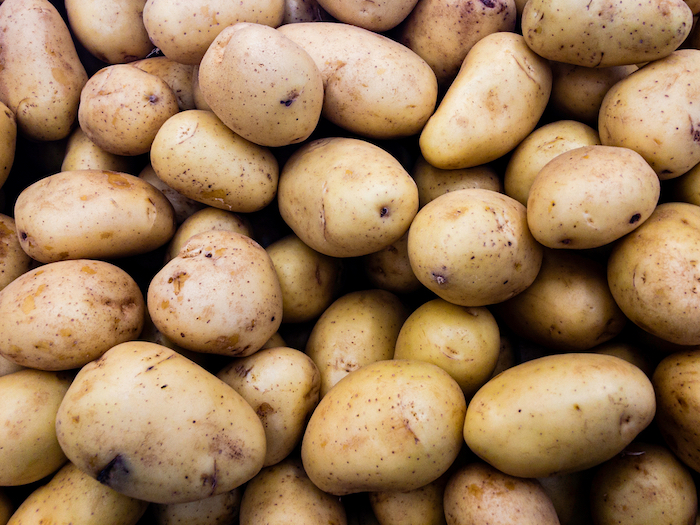 Δύσκολη χρονιά για την πατάτα στο Λεωνίδιο – Πού κυμάνθηκαν οι τιμές παραγωγού