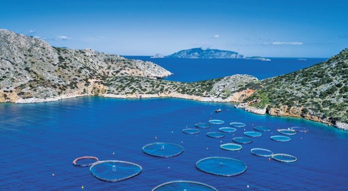 Μελέτη Χρηματοδοτικού Εργαλείου στήριξης της παράκτιας αλιείας, της υδατοκαλλιέργειας και της μεταποίησης