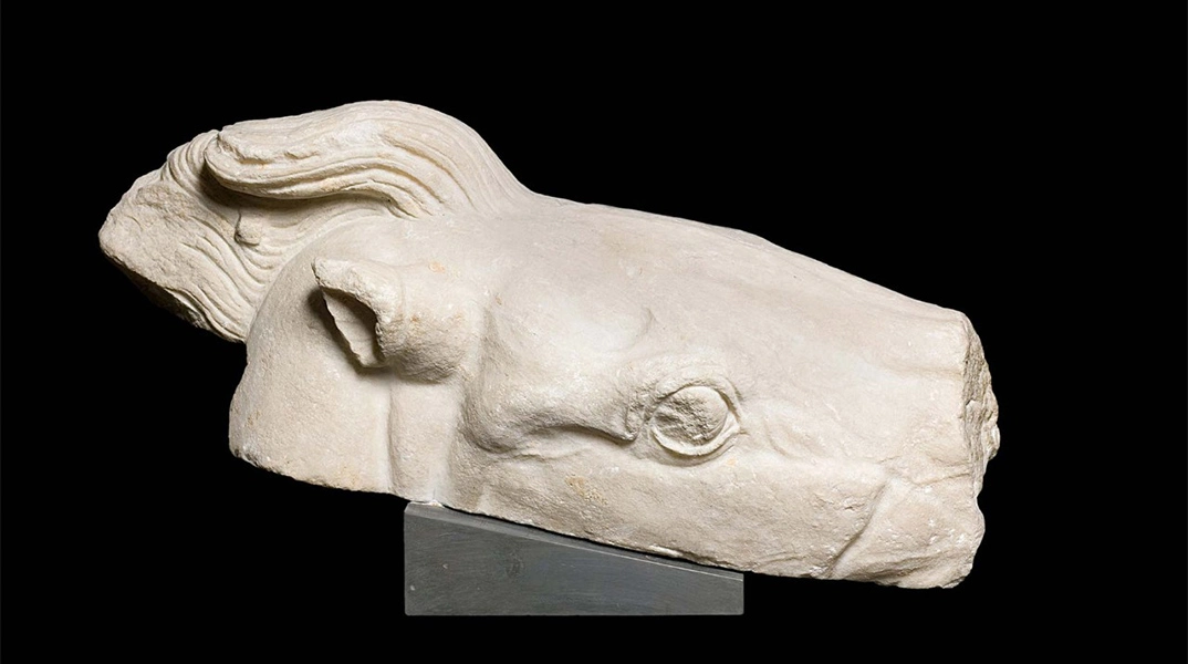 tthrausma.webp